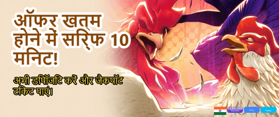 Best Betting Experience India